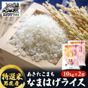 【ふるさと納税】【あきたこまち】なまはげライス特選米10kg×2袋/計20kg　【精米・お米・あきたこまち・米・秋田県産】