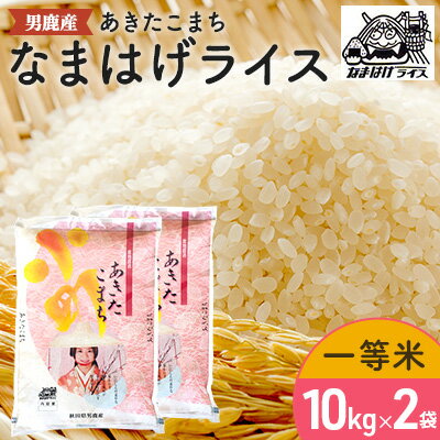 【ふるさと納税】【あきたこまち】なまはげライス10kg×2　【お米・精米・あきたこまち・米・計20kg】