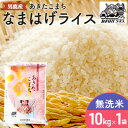 【ふるさと納税】【あきたこまち】なまはげライス無洗米10kg 【精米 お米 あきたこまち 米 秋田県産】