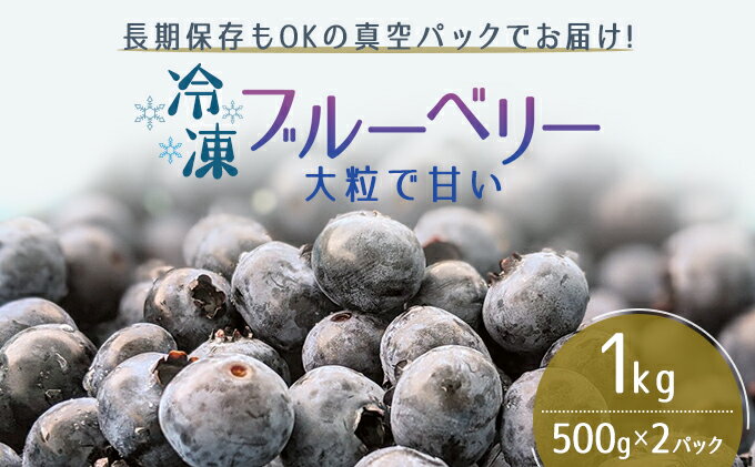 【ふるさと納税】【男鹿ぶるーべりーガーデン】 冷凍ブルーベリー500g×2パック（合計1kg）　【果物・フルーツ】