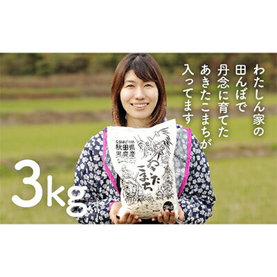 なまはげの郷秋田県男鹿産あきたこまち 3kg[男鹿なび] [お米・あきたこまち・米]