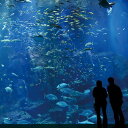 【ふるさと納税】男鹿水族館GAOペア入館券 【チケット 入場券 優待券】