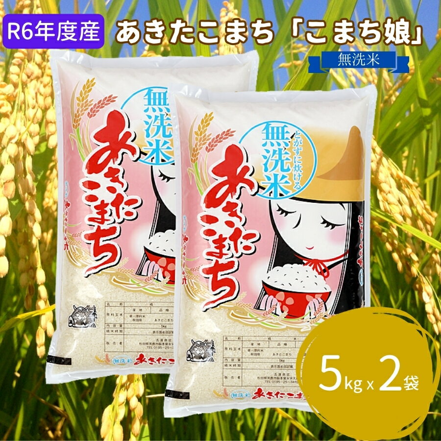 【ふるさと納税】令和5年産 あきたこまち 無洗米 5kg×2袋『こまち娘』吉運商店 秋田県 男鹿市　【お米・あきたこまち】　お届け：2023年11月1日から2024年10月31日まで