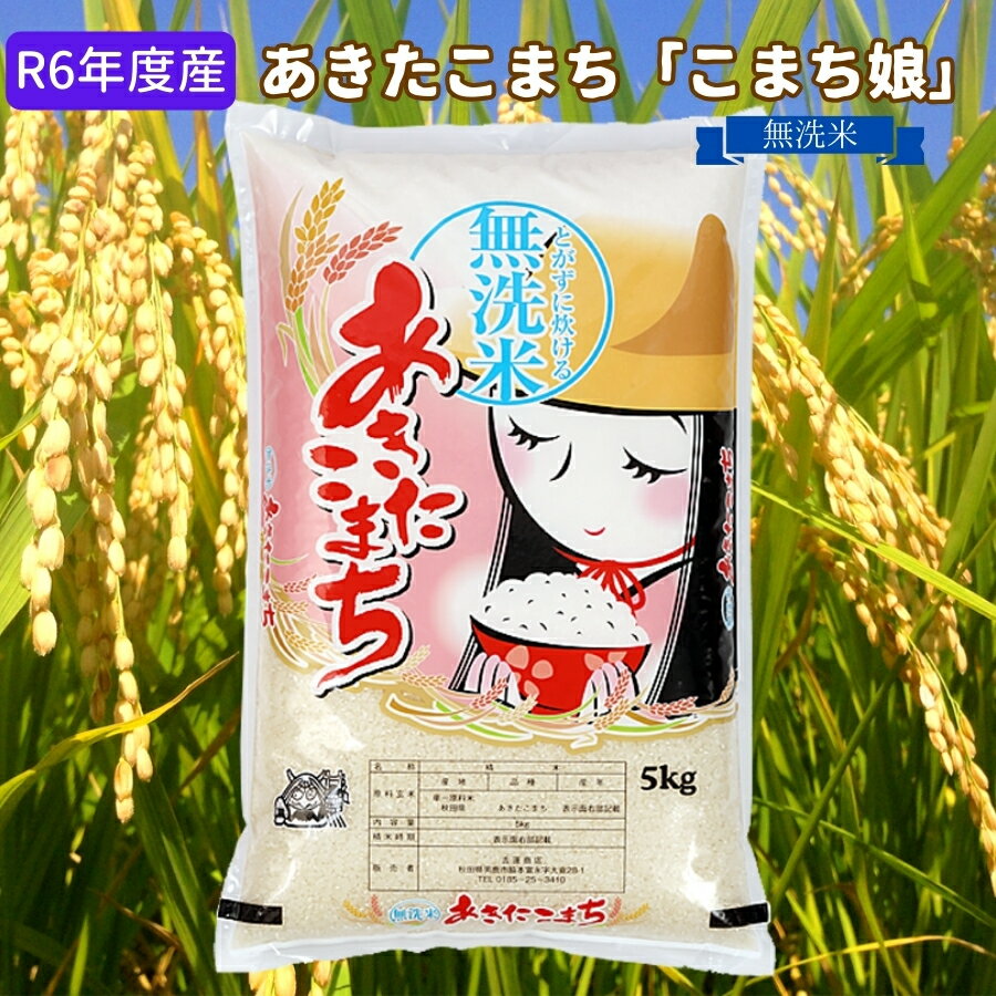 【ふるさと納税】令和5年産 あきたこまち 無洗米 5kg『こまち娘』吉運商店 秋田県 男鹿市　【お米・あきたこまち】　お届け：2023年11月1日から2024年10月31日まで