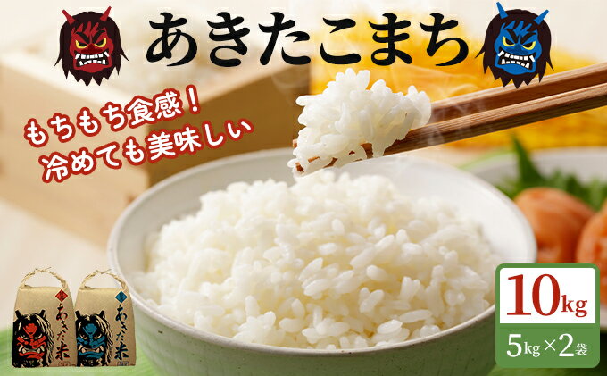 【ふるさと納税】令和5年産 あきたこまち 精米 単一原料米 10kg（5kg×2袋）秋田県 男鹿市　【 米 白米 ごはん ブランド米 秋田 】　お届け：2023年10月10日から2024年8月31日まで