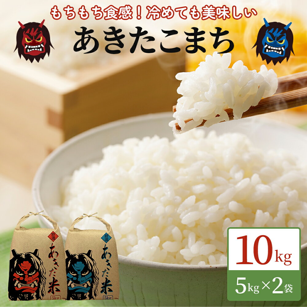 令和5年産 あきたこまち 精米 単一原料米 10kg(5kg×2袋)秋田県 男鹿市 [ 米 白米 ごはん ブランド米 秋田 ] お届け:2023年10月10日から2024年8月31日まで