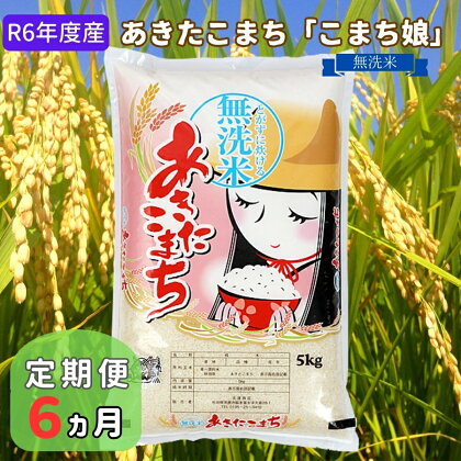 定期便 令和5年産 『こまち娘』あきたこまち 無洗米 5kg×1袋6ヶ月連続発送（合計30kg）吉運商店 秋田県 男鹿市　【定期便・ あきたこまち 無洗米 キャンペーン】　お届け：2023年11月中旬頃から順次発送予定