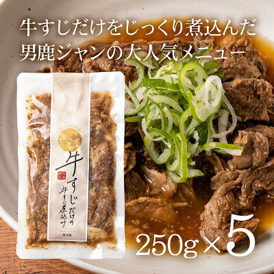 【ふるさと納税】牛すじだけの牛すじ煮込み 250g 5袋 箱入 【お肉・牛肉・肉の加工品・加工品・惣菜・冷凍・煮込み】