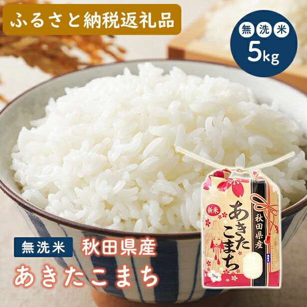 無洗米 令和5年産 あきたこまち 5kg 秋田県 男鹿市 [こまちライン] [ お米 大好評 家計 優しい 価格 小粒 旨み 濃縮 冷めても おいしい お弁当 一等米 ]