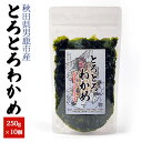 8位! 口コミ数「1件」評価「5」とろとろわかめ 250g×10個セット　【 海藻 海産物 加工品 風味 着色料不使用 保存料不使用 新鮮なワカメ 粘り気 柔らかい 食感 男･･･ 