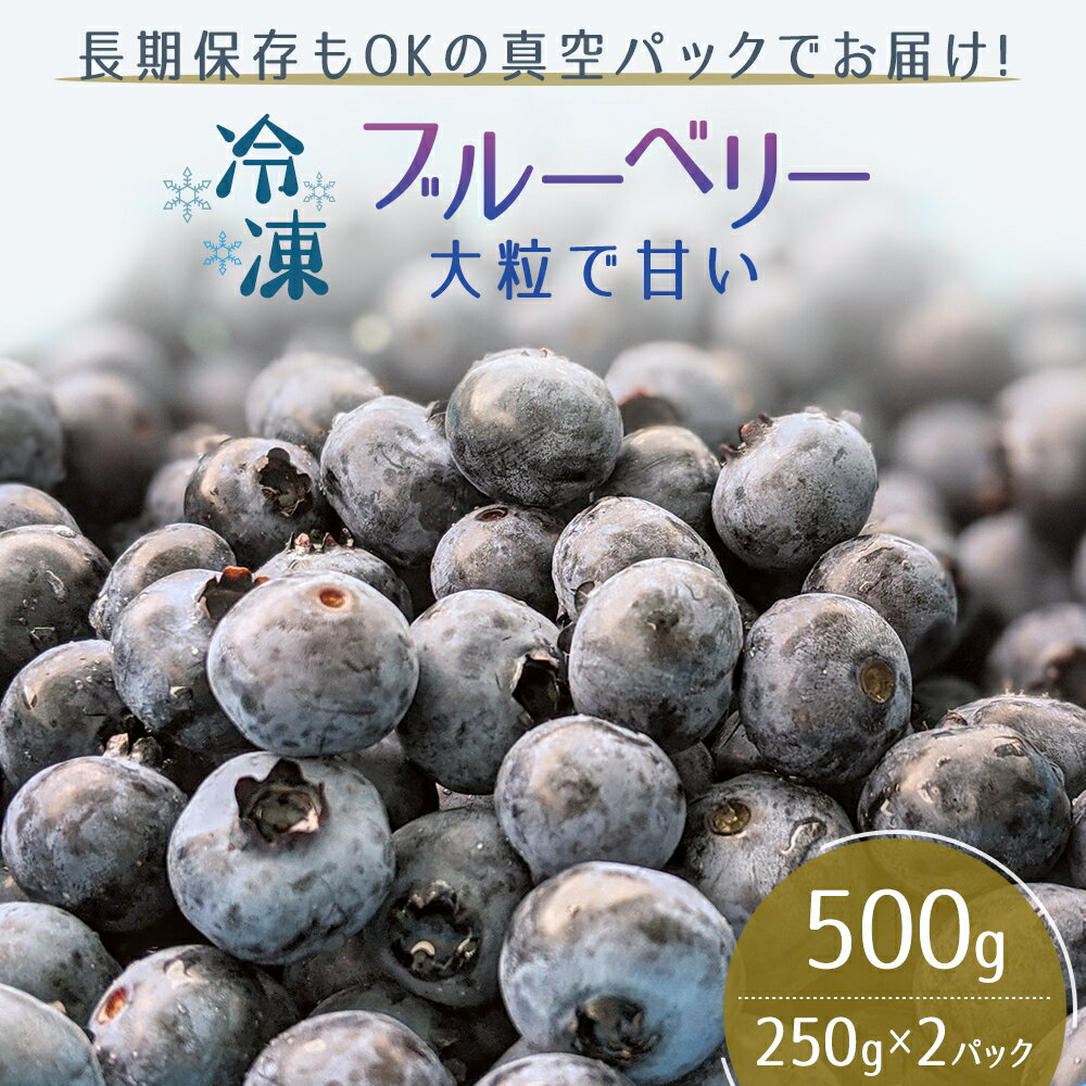 【ふるさと納税】【男鹿ぶるーべりーガーデン】 冷凍ブルーベリー 250g 2パック 合計500g 秋田県 男鹿市 【 果物 詰合せ フルーツ お菓子 ジャム そのまま 美味しい 大粒 便利 簡単 】