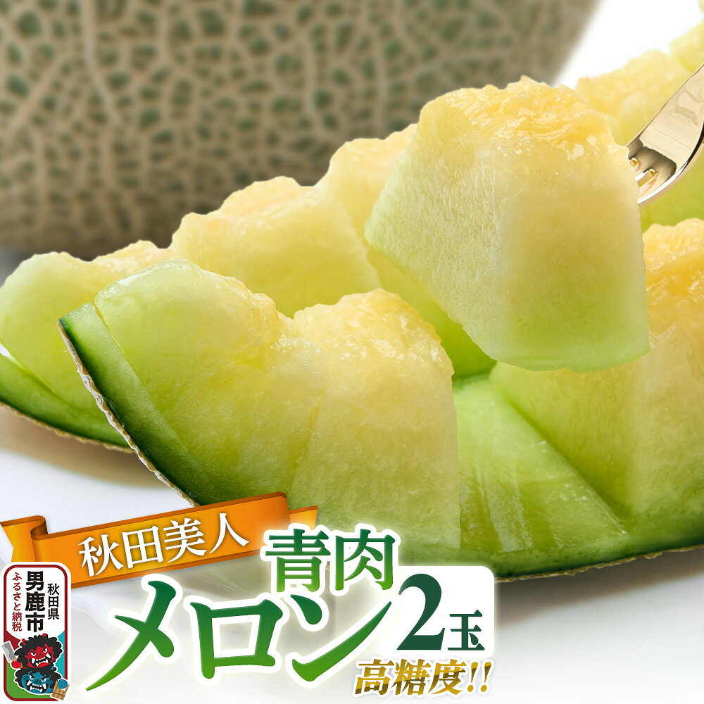【ふるさと納税】R7年度産 先行受付 メロン2玉（秋田美人） 秋田県 男鹿市のサムネイル