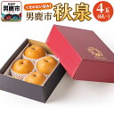 【ふるさと納税】【令和7年度 早期受付】秋泉 梨 4玉 6L~ 梨 なし ナシ 秋田県 男鹿市 旬の果物 フルーツ