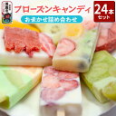 【ふるさと納税】フローズンキャンディ おまかせ詰め合わせ 24本セット ゴンタロー