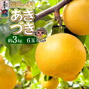 【ふるさと納税】先行受付 男鹿の梨 あきづき 約3kg 6玉 梨 秋田県 男鹿市 <めぐみ農園>