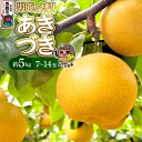 【ふるさと納税】先行受付 男鹿の梨 あきづき 約5kg 7~14玉 梨 秋田県 男鹿市 <めぐみ農園>