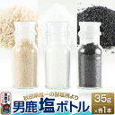 【ふるさと納税】【塩 男鹿工房】男鹿塩ボトル3種セット 35g×3本 秋田県 男鹿市