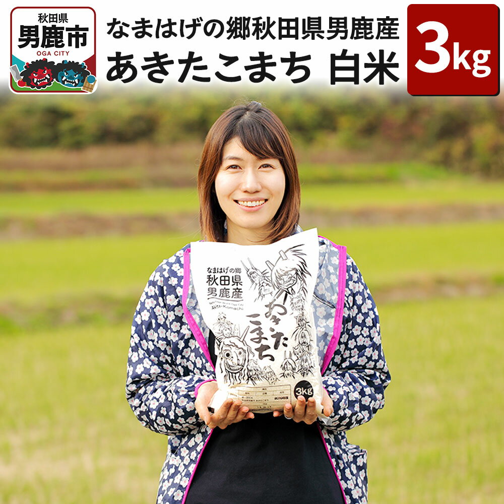 【ふるさと納税】なまはげの郷秋田県男鹿産 あきたこまち 3kg 白米 令和6年産 男鹿なび お米