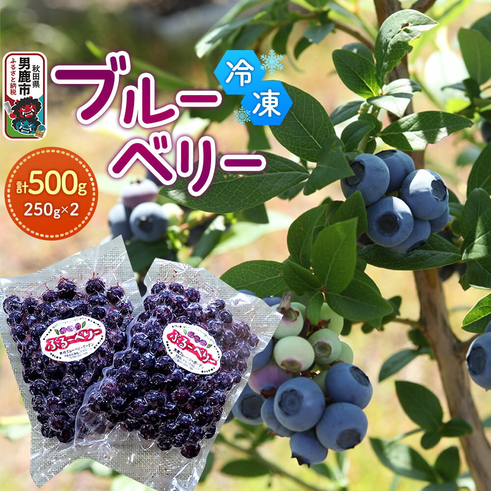 [男鹿ぶるーべりーガーデン] 冷凍ブルーベリー 250g×2パック(合計500g)秋田県 男鹿市
