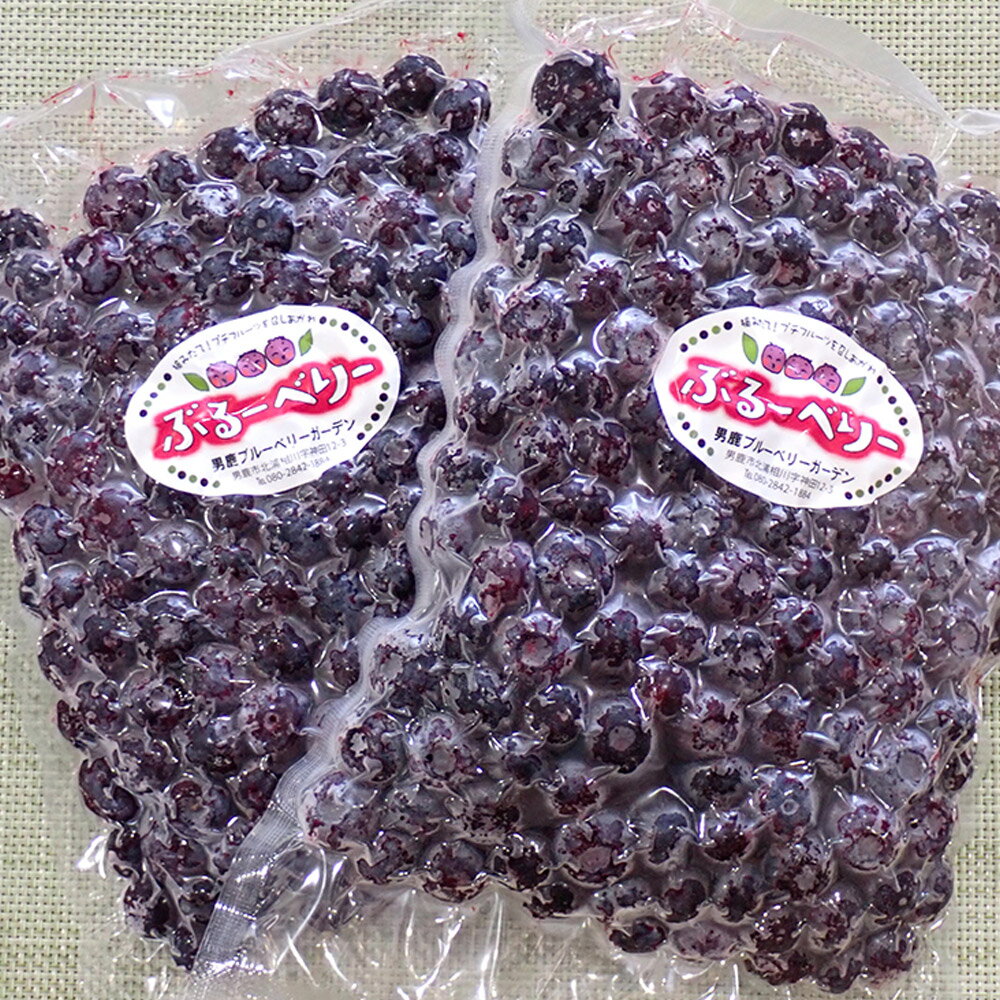 【ふるさと納税】【男鹿ぶるーべりーガーデン】 冷凍ブルーベリー 500g×2パック（合計1kg）秋田県 男鹿市