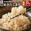 【ふるさと納税】令和6年産 あきたこまち 玄米 10kg 吉運商店 秋田県 男鹿市 お米 お弁当 おにぎり