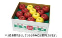 【ふるさと納税】B3001 完熟りんご