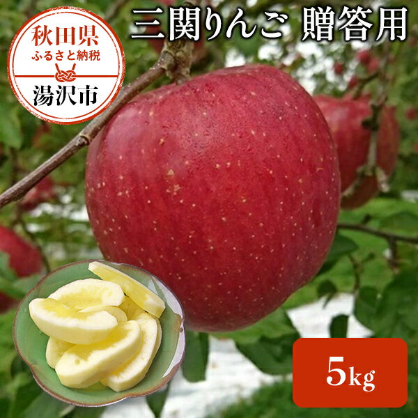 三関りんご5kg贈答用 秋田県 りんご 三関りんご
