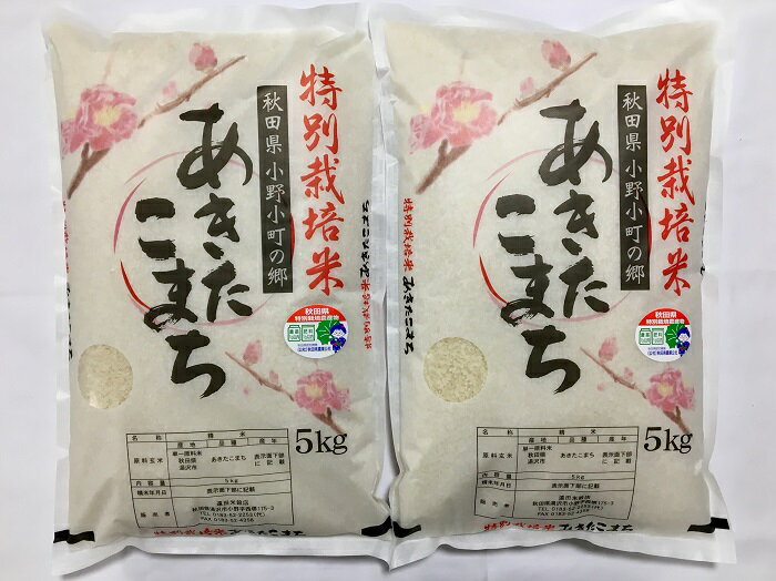 令和5年産米 小野小町の郷特別栽培米あきたこまち 5kg×2袋 秋田県 米 あきたこまち