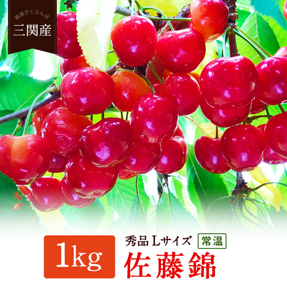【ふるさと納税】【甘味が抜けないための常温発送】 秀品 Lサイズ 朝採り 厳選 さくらんぼ 佐藤錦 1kg 2023年6月後半頃より発送 品質日本一と市場評価が高い 秋田県 三関産 [B5-7801]のサムネイル