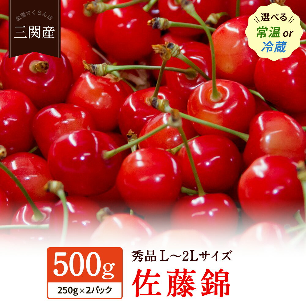 【ふるさと納税】朝採り 厳選 さくらんぼ 佐藤錦 ＼ 500g で 10000円 ／ （秀L～2Lサイズ・ 250g×2パック） 2024年6…