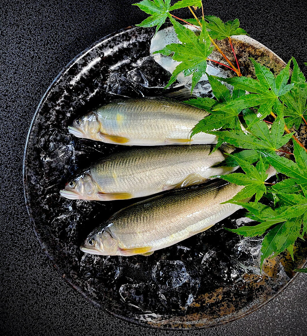 【ふるさと納税】【夏季限定】生鮎・天然仕立て《こまち鮎》活〆5匹　熨斗対応可[M4201]