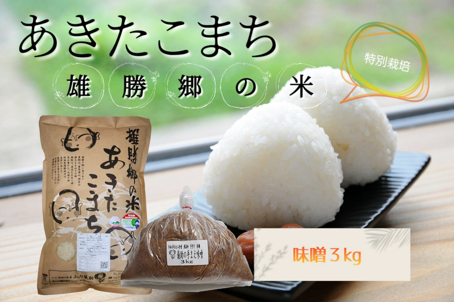 [無洗米]特別栽培米雄勝郷の米5kg味噌3kgセット[B9-2001]