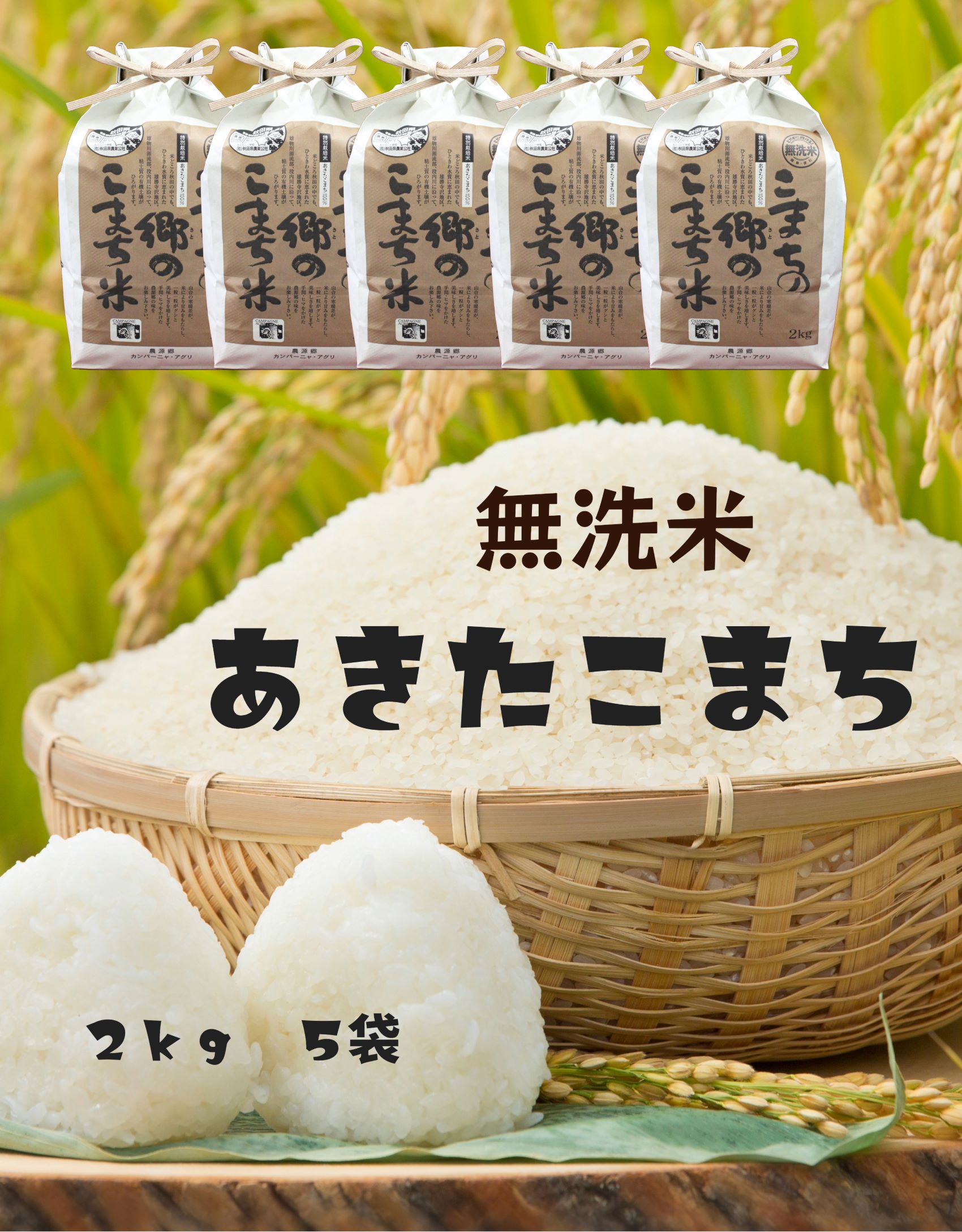 令和5年産米 特別栽培米 こまちの郷のこまち米 無洗米 2kg×5袋[B7-12401]
