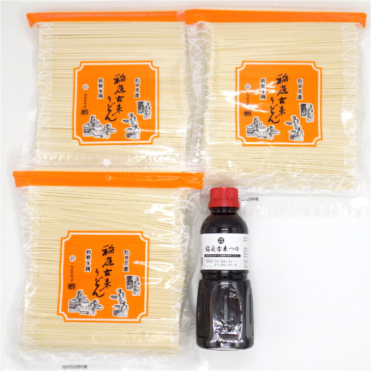 【ふるさと納税】稲庭古来うどん　2,400gチャック付・つゆ