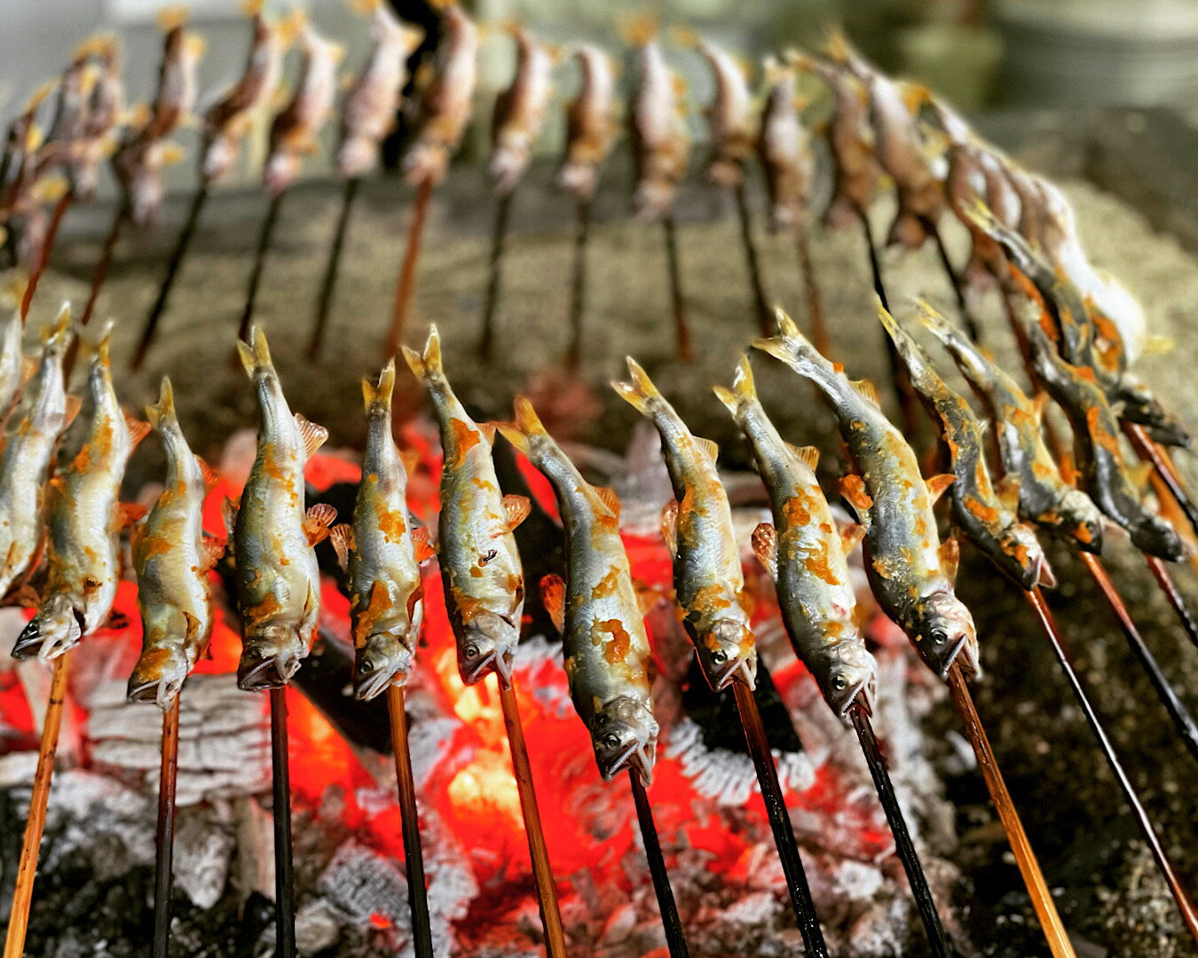 温めるだけで主食が完成！忙しい時の強い味方の鮎の塩焼きと、お酒によく合う鮎の燻製をセットにしました。解凍不要！便利な個包装でお届けします。ギフト用にもよく選ばれるセットです。 鮎の塩焼き 水にこだわり稚魚から育てた《こまち鮎》を、炭火でふっくら焼き上げました。お店の味をご家庭でも再現できるよう研究を重ね、オーブントースターや魚焼きグリルなどで温めるだけで、出来立てに近い塩焼きをお楽しみいただけます。串がついたまま豪快にかぶりついてお召し上がりください！ 鮎の燻製 炭火でふっくら焼き上げた後に、時間をかけて香ばしく燻しました。日本酒だけでなくワインにも合う渾身の逸品です。 ●生産のこだわり 鮎の状態を確認しながら毎日3回数十万匹の鮎に手作業で餌を与えています。デリケートな魚なので、餌をしっかり食べられているか、運動は足りているかなど健康状態に常に気を配っています。 ●産地の特徴 秋田県は気温が低いため、他地域の鮎より小ぶりではありますが、そのぶん身が詰まった脂の乗った鮎を育てています。 まだ雪深い頃は豊富な水量、鮎に適した水温の恵まれた地下水で育て、雪解けの頃に秋田随一の清流・雄物川（おものがわ）の川の水を引き入れ、より自然に近い環境にすることで、"香魚”の名にふさわしい味が濃く香り高い、天然の鮎に近い鮎に成長します。 ●保存方法、お召し上がり方など 袋から取り出し、冷凍のままオーブントースターなどで温めてお召し上がりください。 アルミホイルを敷くのもおすすめです。 （目安）鮎の塩焼き600wで7〜8分程、鮎の燻製600wで6分程。 鮎の塩焼きは、お酒などを塗って温めるとよりふっくらします。 ＜鮎乃家からみなさまへ＞ 鮎（あゆ）と共に歩んで創業60年。 秋田の大自然の中、小鮎の頃は恵まれた地下水で、若鮎の頃に清流の川の水を引き入れた池に移し、自然に近い環境で真心こめて鮎を育てています。 年々厳しくなる自然環境の中でわざわざ管理の難しい育て方にこだわるのは、臭みもなく味わい深い鮎に育つからこそ。遠方から毎年お越しになる方々が絶えないこと、全国から応援してくださる方々がいらっしゃることが、大変でも妥協なくこだわり続けられる原動力です。 【発送について】お受け取りになれない曜日やご不在期間がある場合は、備考欄でお知らせください。 【お礼の品に関するお問い合わせ先】（一社）湯沢市観光物産協会　電話：0183-73-0415、Eメール：yukankou@yutopia.or.jp 商品詳細名称【ふるさと納税】温めるだけで名店の味《こまち鮎》鮎の塩焼き・燻製セット[B3-4202]内容量秋田産《こまち鮎》鮎の塩焼き 3本・燻製2本配送温度帯冷凍販売者（有）鮎乃家（〒019-0205　秋田県湯沢市小野字大山沢15） 【※注意事項※】〜配送業者からのお願い〜 1.長期不在など受取りできない期間がある場合は必ずご記入ください。 2.寄付者と特産品の受取人が違う場合は、必ず事前に受取人にご連絡をお願いします。 「覚えがない」と受取辞退されると返品されてしまいます。 ・ふるさと納税よくある質問はこちら ・寄附申込みのキャンセル、返礼品の変更・返品はできません。あらかじめご了承ください。 ・「楽天ふるさと納税ワンストップ特例制度について」 ・「ふるさと納税」は、自治体への寄附金ですので消費税はかかりません。 お選びいただいた「返礼品」は、ふるさと納税してくださった寄附者の皆様へ秋田県湯沢市が贈呈するものです。ご安心してお申し込みください。 いろいろなシーンでお使いいただけます お見舞い 退院祝い 全快祝い 快気祝い 快気内祝い 御挨拶 ごあいさつ 引越しご挨拶 引っ越し お宮参り御祝 合格祝い 進学内祝い 成人式 御成人御祝 卒業記念品 卒業祝い 御卒業御祝 入学祝い 入学内祝い 小学校 中学校 高校 大学 就職祝い 社会人 幼稚園 入園内祝い 御入園御祝 お祝い 御祝い 内祝い 金婚式御祝 銀婚式御祝 御結婚お祝い ご結婚御祝い 御結婚御祝 結婚祝い 結婚内祝い 結婚式 引き出物 引出物 引き菓子 御出産御祝 ご出産御祝い 出産御祝 出産祝い 出産内祝い 御新築祝 新築御祝 新築内祝い 祝御新築 祝御誕生日 バースデー バースデイ バースディ 七五三御祝 753 初節句御祝 節句 昇進祝い 昇格祝い 就任 お供え 法事 供養 お正月 賀正 新年 新春 初売 年賀 成人祝 節分 バレンタイン ホワイトデー ひな祭り 卒業式卒業祝い 入学式 お花見 ゴールデンウィーク GW こどもの日 端午の節句 七夕初盆 お盆 御中元 お中元 中元 お彼岸 残暑御見舞 残暑見舞い 敬老の日 寒中お見舞い クリスマス お歳暮 御歳暮 ギフト プレゼント 贈り物 セット 開店祝い 開店お祝い 開業祝い 開院祝い 周年記念 異動 栄転 転勤 退職 定年退職 挨拶回り 転職 お餞別 贈答品 景品 コンペ 粗品 手土産 寸志 歓迎 新歓 送迎 歓送迎 新年会 二次会 忘年会 記念品 卒業式 父の日 母の日 七夕 初盆 還暦御祝い 還暦祝 誕生日 記念日 お返し お祝い返し パパ ママ お父さん お母さん 母親 父親 両親 兄 弟 姉 妹 子供 子ども 祖母 祖父 おばあちゃん おじいちゃん 職場 上司 先輩 後輩 同僚 夫 妻 夫婦 義父 義母 父の日ギフト 母の日ギフト 父の日プレゼント 母の日プレゼント お中元ギフト お歳暮ギフト まだ間に合う 関連キーワード 人気 ランキング 多数入賞 産地直送 高評価 食品 グルメ お取り寄せ お取り寄せグルメ お取り寄せスイーツ ご当地グルメ ふるさと納税 ふるさと 楽天ふるさと納税 訳あり 訳アリ わけあり 冷凍 お試し フードロス 緊急支援 緊急支援品 緊急 支援品 コロナ コロナ支援 小分け 年内 送料無料 自宅用 お楽しみ 定期便 秋田県 秋田県産 秋田 湯沢市 湯沢市産 東北「ふるさと納税」寄付金は、下記の事業を推進する資金として活用してまいります。 寄付を希望される皆さまの想いでお選びください。 (1) 賑わいのまちづくり事業 (2) 教育・子育て支援事業 (3) 健康福祉のまちづくり事業 (4) 地域文化の継承事業 (5) 地場産業の振興事業 (6) 市政全般（指定しない） ご希望がなければ、市政全般に活用いたします。 入金確認後、注文内容確認画面の【注文者情報】に記載の住所にお送りいたします。 発送の時期は、寄附確認後2ヵ月以内を目途に、お礼の特産品とは別にお送りいたします。