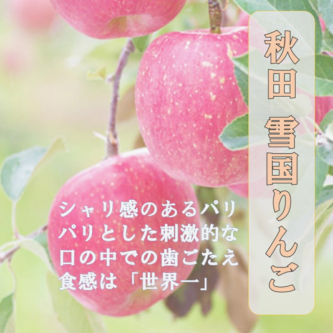 秋田県産 りんご ふじ 5kg 甘味と香り 産地直送 リンゴ 秋田 フルーツ 果物 特産[B4-9902]