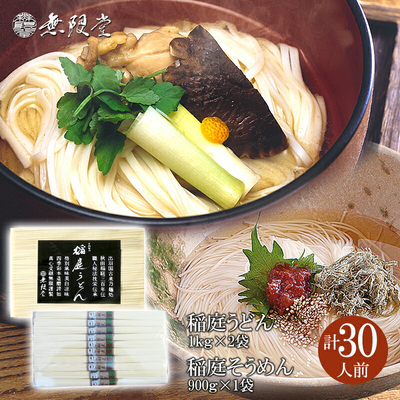 【ふるさと納税】稲庭うどん＆そうめんチャック袋入(30人前)[B9-12901]