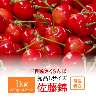 佐藤錦 秀品 Lサイズ 1kg 朝採り 厳選 さくらんぼ（250g×4パック） 先行予約 【2024年6月後半頃より発送】 ふるさと納税 さくらんぼ 佐藤錦 2024年産 令和6年産 フルーツ 果物 ふるさと 人気 ランキング [B5-3204]