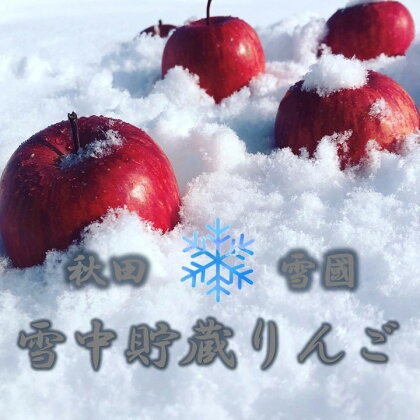 雪中貯蔵 りんご ふじ 雪中りんご 秋田 湯沢 3kg 果物 フルーツ 林檎 リンゴ フジ 雪室 雪 熟成[B2-9904]