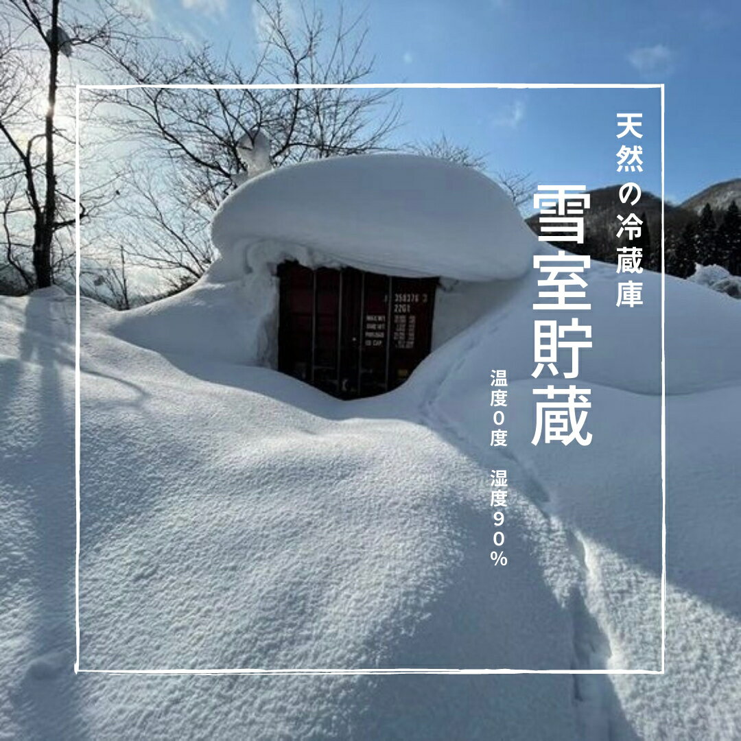 【ふるさと納税】雪中貯蔵 りんご ふじ 雪中りんご 秋田 湯沢 3kg 果物 フルーツ 林檎 リンゴ フジ 雪室 雪 熟成[B2-9904]