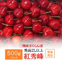 21位! 口コミ数「0件」評価「0」数量限定！紅秀峰 500g 秀2Lサイズ以上[B5-10802]