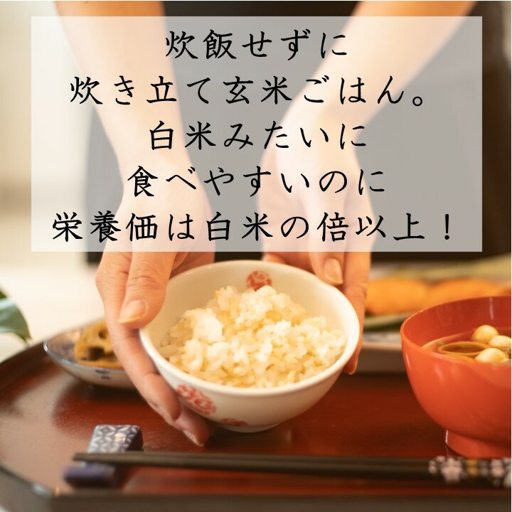 【ふるさと納税】【定期便】あきたこまち玄米パックごはん3ヵ月72食分【パックごはん乳酸菌入り】[D2302]