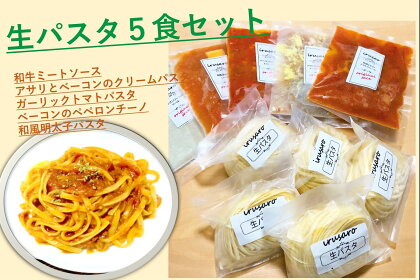 おうちで生パスタ＆ソース（冷凍）5食セット[B2-14401]