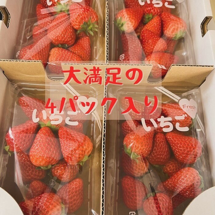 【ふるさと納税】朝採り いちご 秋田県産 200g入×4 かおり野 紅ほっぺ[B3-9901]