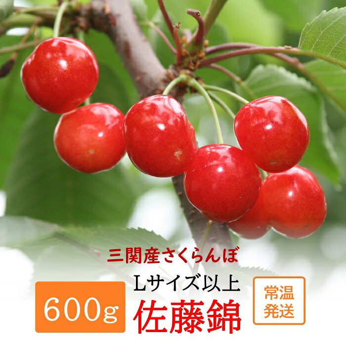 ڤդ뤵Ǽǡۡڴ̣ȴʤξﲹȯ ػܡƣӡLʾ塡600g[B3-11101]