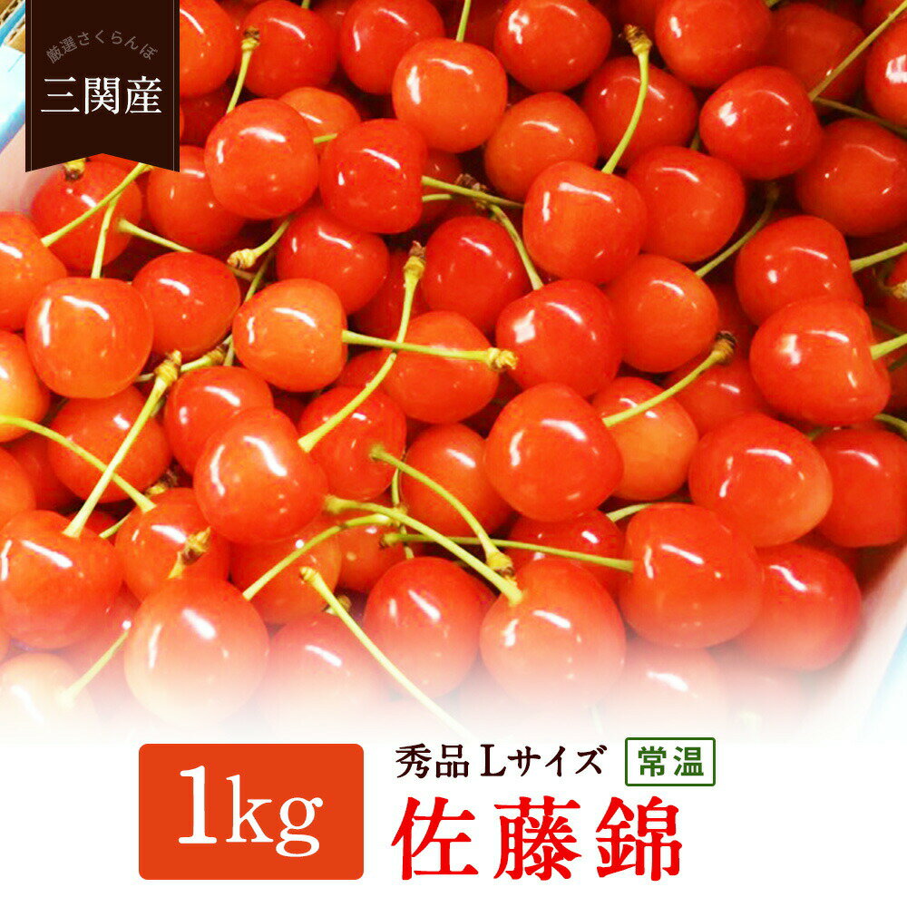 【ふるさと納税】＼朝採れ 産地直送／ R7年度産 佐藤錦 秀 L 1kg 市場価値の高い 三関産 さ ...