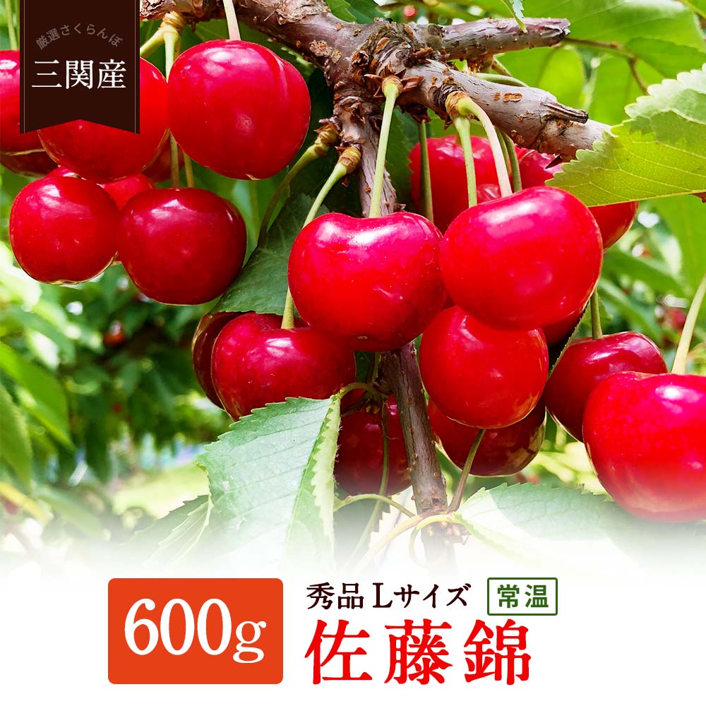 【ふるさと納税】【甘味が抜けないための常温発送】 高評価★4以上 秀品 Lサイズ 朝採り 厳選 さくらんぼ 佐藤錦 600g 2024年6月15日頃より発送予定 品質日本一と市場評価が高い 秋田県 三関産 14000円 [B4-7802]のサムネイル