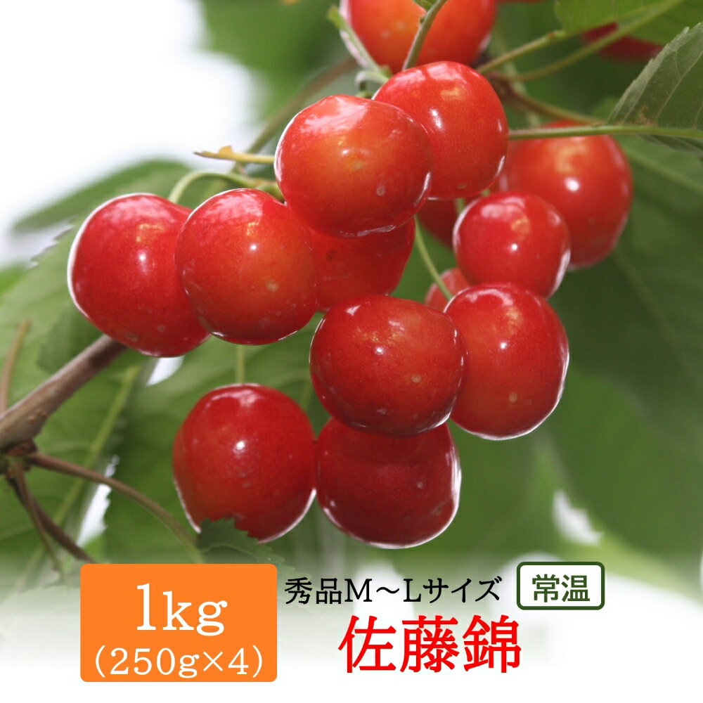 44位! 口コミ数「0件」評価「0」【甘味が抜けないための常温発送】朝採り 厳選 さくらんぼ 佐藤錦 ＼ 1kg で 10000円 ／ （秀M～Lサイズ・ 250g×4パック）･･･ 