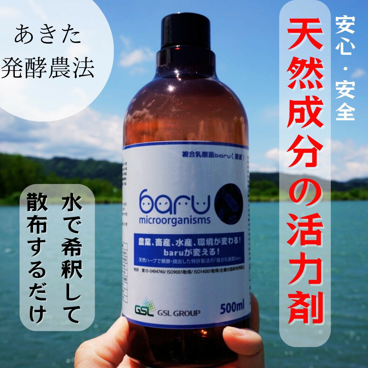 環境に優しい農業用乳酸菌 安全で効果的な乳酸菌液をお届け 乳酸菌資材 有益菌農業 農業 家庭菜園 堆肥化 土壌改良 植物活力剤 野菜栽培 果物 花 原液 天然 堆肥作り あきた発酵農法 発酵 [BARU バイオジャパン吉村株式会社][A9901]