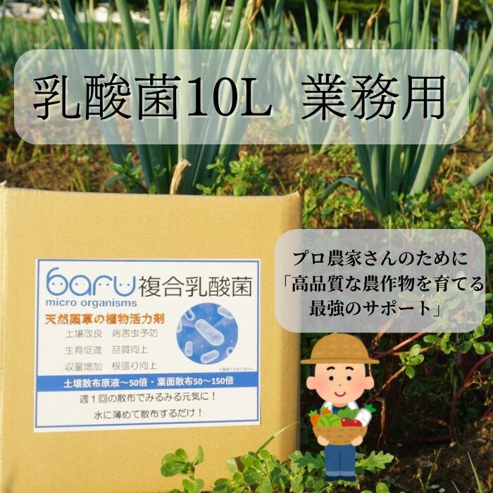 環境に優しい農業用乳酸菌 安全で効果的な乳酸菌液をお届け 乳酸菌資材 有益菌農業 農業 家庭菜園 堆肥化 土壌改良 植物活力剤 野菜栽培 果物 花 原液 天然 堆肥作り あきた発酵農法 発酵 10L 業務用[BARU バイオジャパン吉村株式会社][H9904]